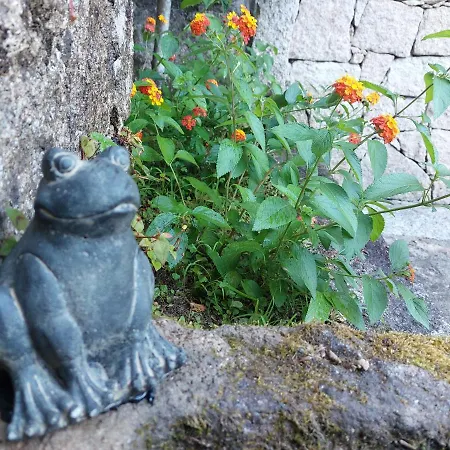 Quinta Do Caneiro * Gerês