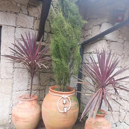 Quinta Do Caneiro