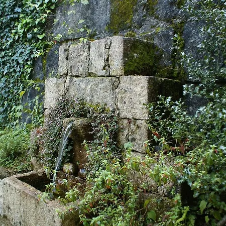 Quinta Do Caneiro *