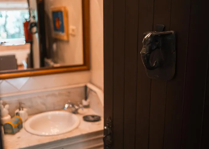 Quinta Do Caneiro Vila *